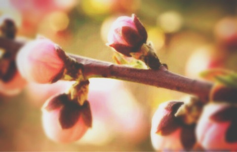 {C590D52F-0A2C-4B30-B2C0-4813E6012CCC}