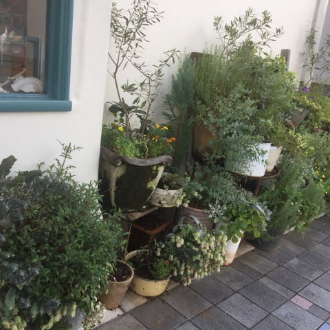 {064FF4DD-7D51-4EC8-8214-FDC8D8C2A42E}