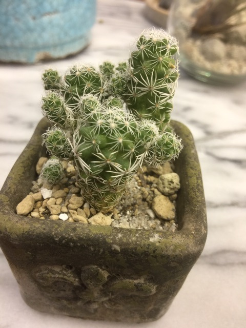 {ABA474CB-B3D3-4BB5-8DE8-D4E4ECBF65C8}