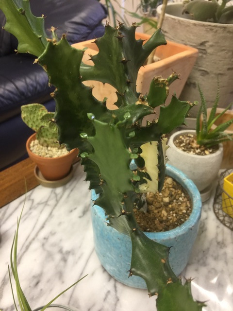 {4C9646D9-9391-4162-89E9-3F1321576EFA}