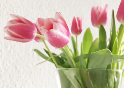 {C1217761-4092-4B9D-8161-18D946C4293D}