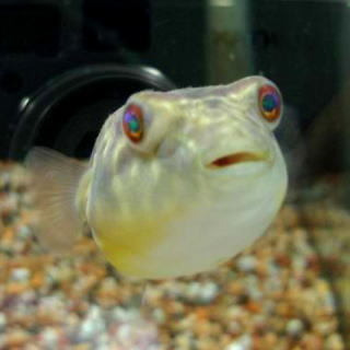 $中崎町の美容室lista by snipのブログ