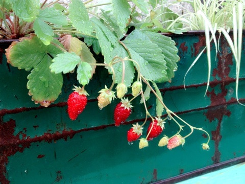 {41E93BED-C8BB-4A27-BC51-EF5638D7219C:01}