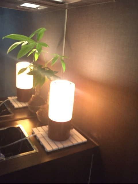 {5C0A2376-2BCB-471D-8593-26400B284570:01}