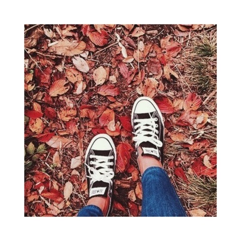 {E88B3466-6F2B-41C1-B1C5-E7CE7E7AFE85:01}