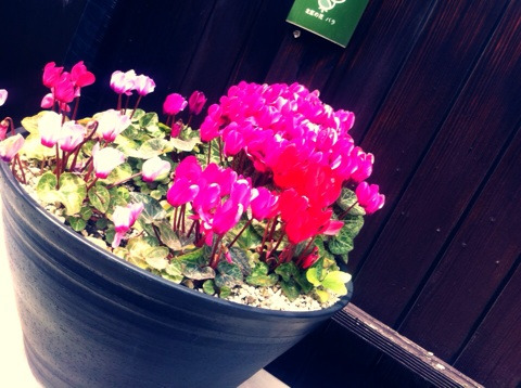 {BB6E3473-F2F4-43A3-AFCD-402CE62B53CD:01}