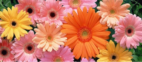 {C6EBC054-EC31-4CD4-AC67-69FAC62ABB81}