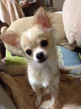 $都島の美容室　ＳＮＩＰmiyakojimaのブログ