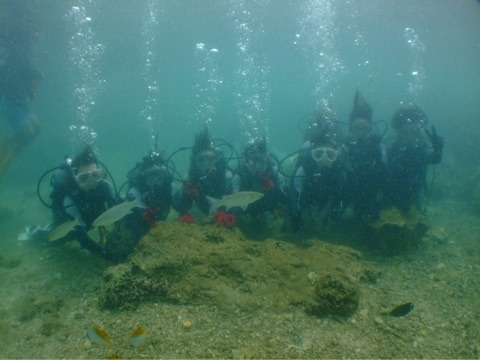 {B54611D6-2634-49DE-B396-231B5406F67C}