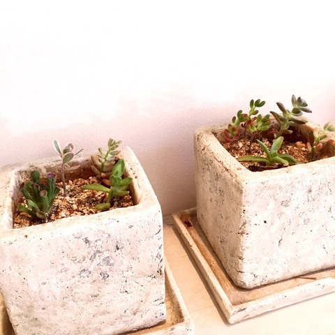 {23E3DF99-F755-4524-AE84-3E8FA64A736E:01}