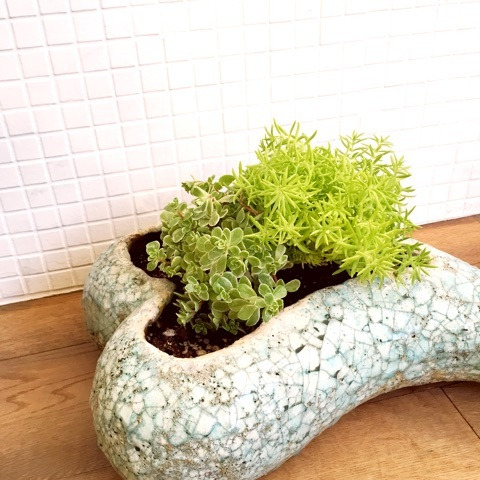 {C439DCE2-A2A7-41B3-8E7C-1040A09117CB:01}