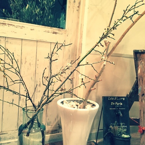 {EE2C496A-BD0B-42C3-910B-81E7DAAE63AD}