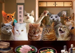 {B362C6FB-40CD-4F8E-BBC1-D9B81A7FFCCB:01}