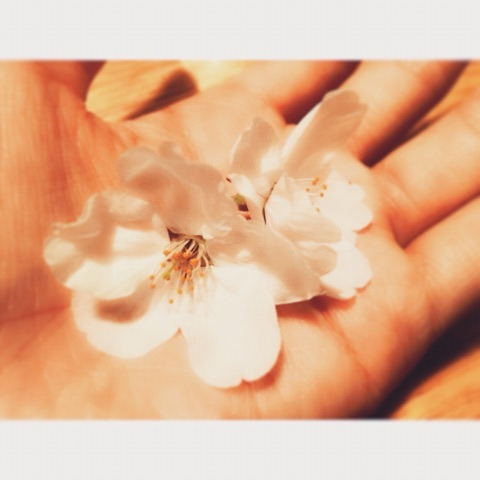 {D144659C-3D26-44B2-8DBB-9FC23284CF38:01}