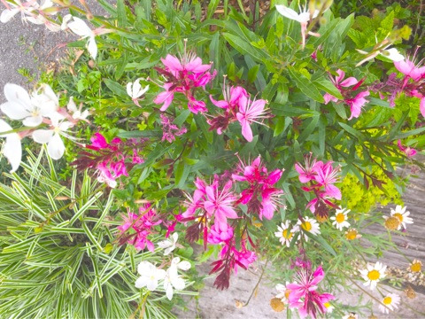 {2C98ED83-761C-4FE3-9195-274FE491EE58}