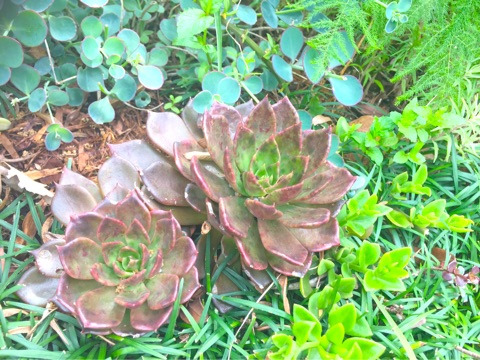 {14484B71-5A2F-4FDF-9778-9942E92D7979}