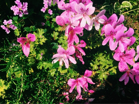 {805E5E23-E917-413F-B4D9-7A587627A386}