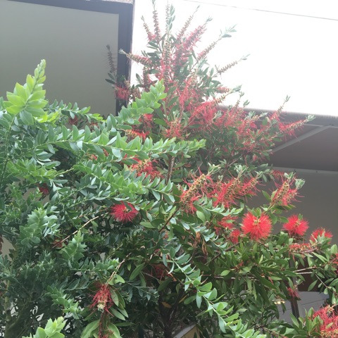 {9D1240D2-3594-45D6-9BD9-671DD94790BE}