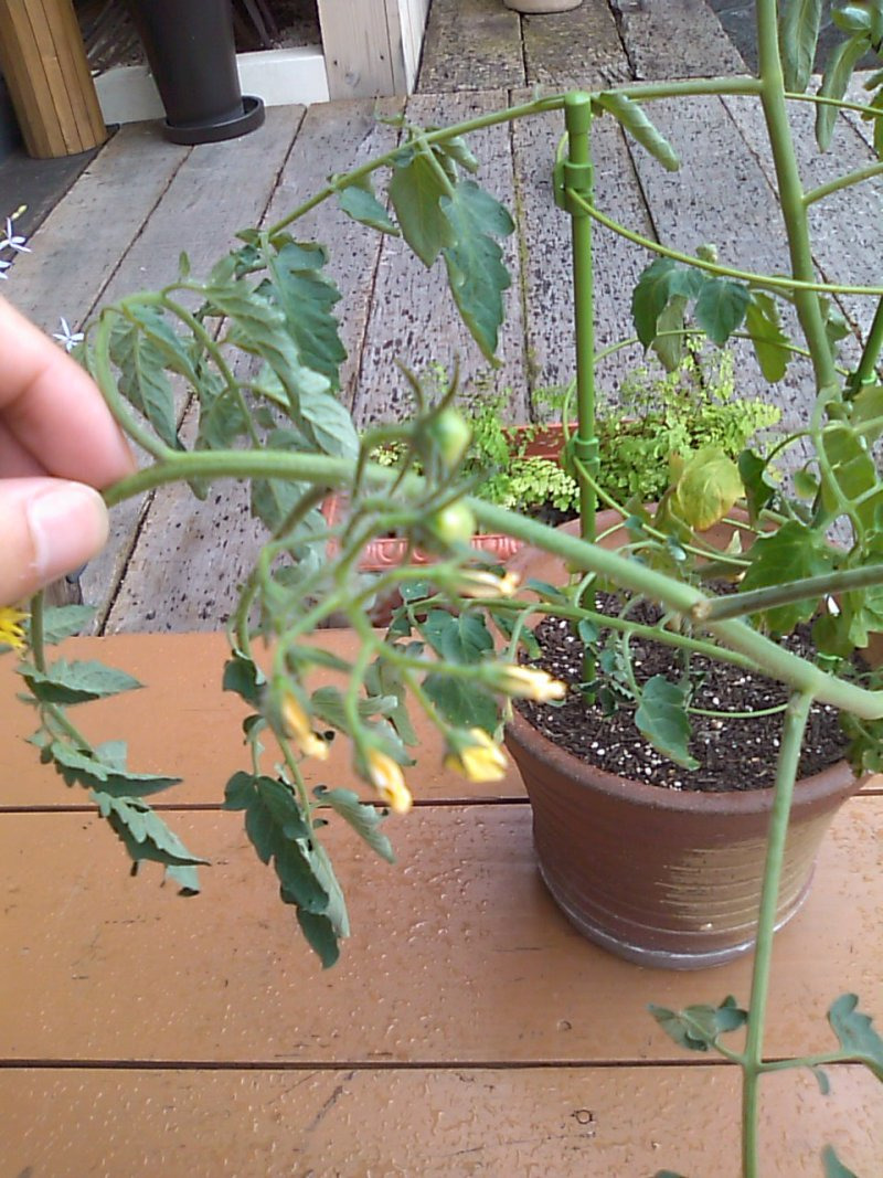 城東区新森古市のヘアサロン 「レコバイスニップ」