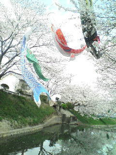 城東区新森古市のヘアサロン 「レコバイスニップ」-D1002075.jpg