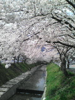 城東区新森古市のヘアサロン 「レコバイスニップ」-D1002034.jpg