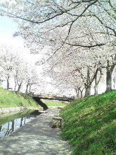 城東区新森古市のヘアサロン 「レコバイスニップ」-D1002083.jpg