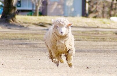 {26A11F8B-0B6C-462D-ACE2-D25CFD613DAE:01}