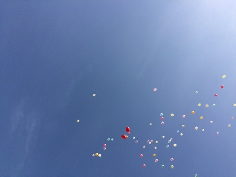 {5C65C954-4C28-42C5-8459-ADD4BA4FE44F:01}