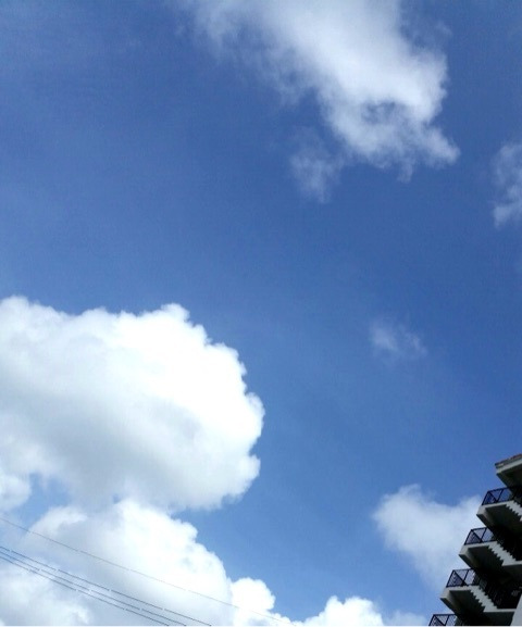 {352A8765-C316-415A-8FD4-1C50488FBD9D:01}