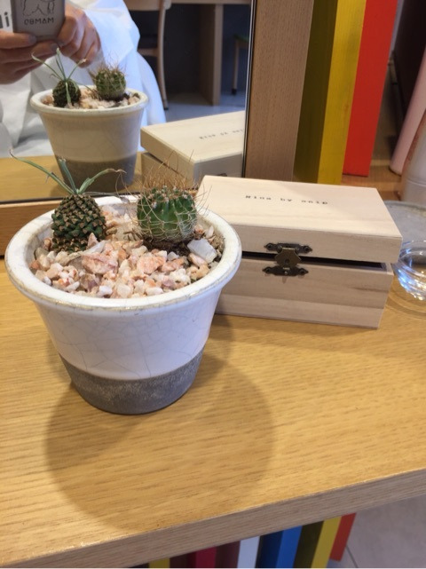 {106788E4-4B76-46D2-9570-BF6433DE0AE6:01}