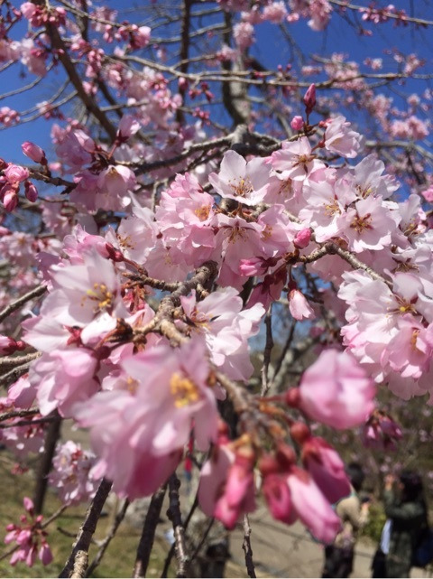 {61871078-3318-4333-AED6-87E2B3E3A0C9}