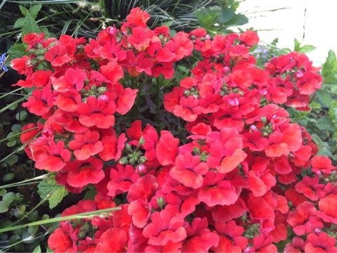 {469AD333-5724-4E76-91D9-CB06F0363FE5}