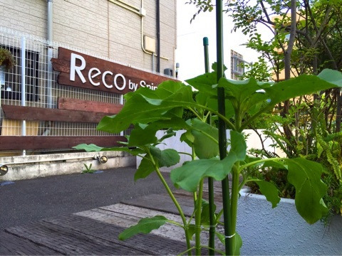 {D8C49C31-A668-40A8-996D-DBEEC97B7959}