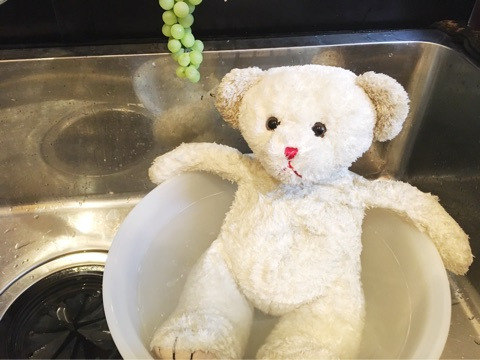 {2586A865-CEC6-47E7-AB0C-29F94FD6999D}