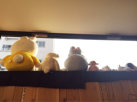 {D8965F3A-EA36-4DF2-997E-0159466D91EC}