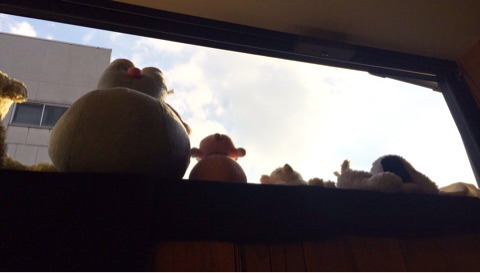 {CCDA53E9-FF74-4576-8812-E9C7C498D472}