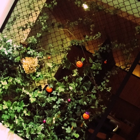 {96658503-030A-4707-9DEC-8CD2E7B0828E:01}