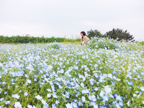 {556E771D-278A-405C-AF89-75E702BA189F}