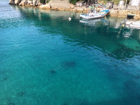 {239EFF51-87D9-4121-B01B-17FDEE37B8D6}