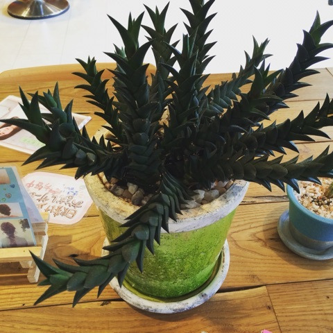 {787D3C55-4855-4524-9FDE-DB2F39C2A004:01}