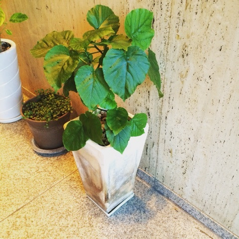 {B6F3FB76-0ABF-43A8-848E-93B898352DD2:01}